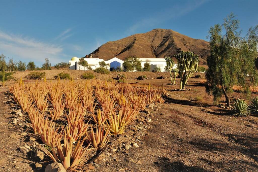 Tranquila Tierra - Eco Retreat Finca Artis Tirma Tarajalejo Dış mekan fotoğraf